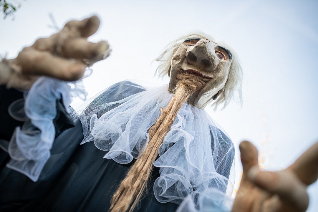 Düsterer Märchenwald