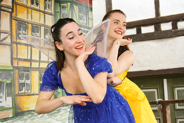 What do princesses want?