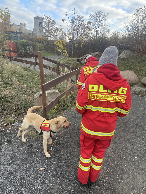 DLRG Rettungshundestaffel im BELANTIS